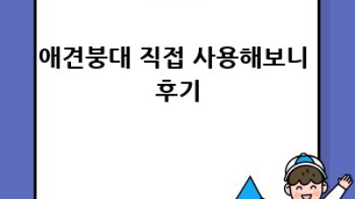 우리 강아지 상처 보호, 애견붕대로 안전하게!